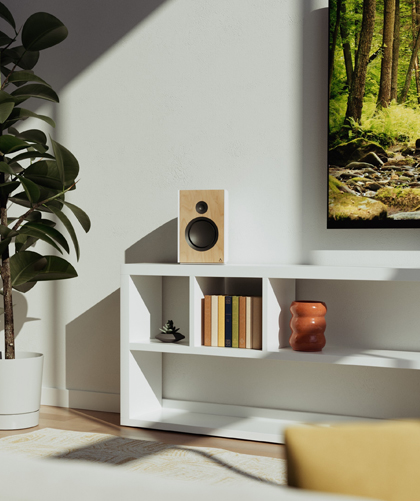 Multi Room Audio